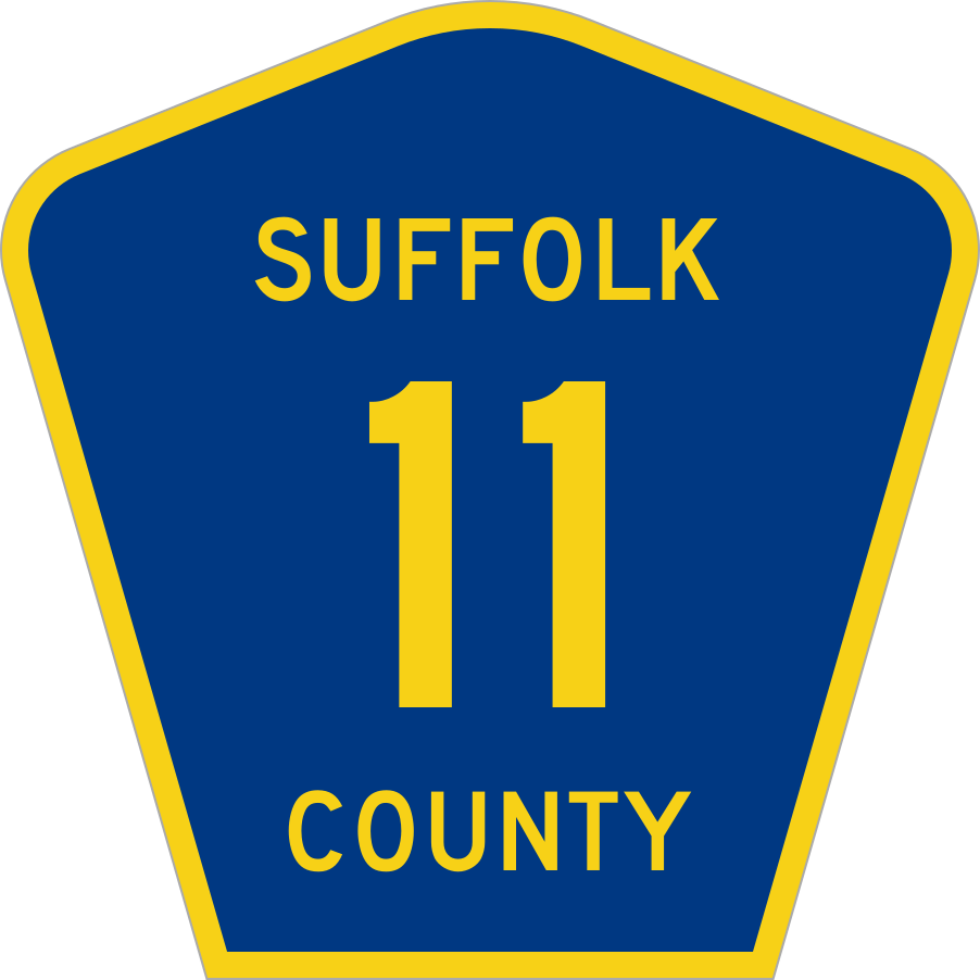 11 округ. Саффолк Нью-Йорк. "Suffolk County House of corrections"+HSI.