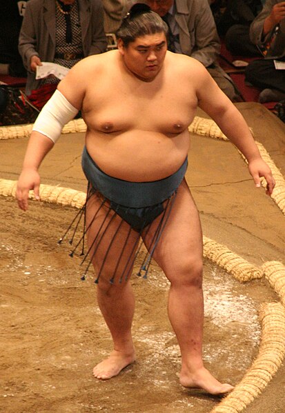 File:Sumo May09 Futeno.jpg