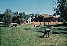 Asentamiento pionero de Swan Hill GSV 1.jpg