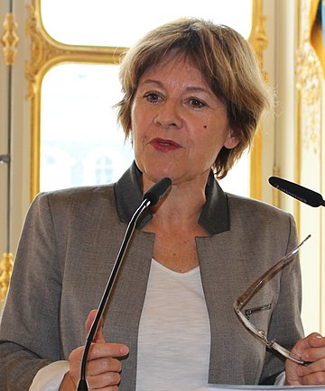 File:Sylvie Robert, sénatrice d'Ille-et-Vilaine (cropped).jpg