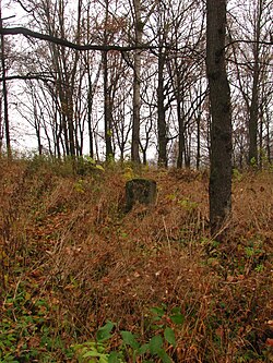 Szczebrzeszyn, ul. Cmentarna, cmentarz żydowski (ID 608007) 12.jpg