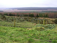 Taughboy townland.