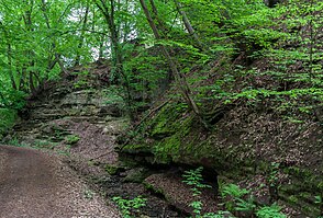 Rocks in the Thanngraben