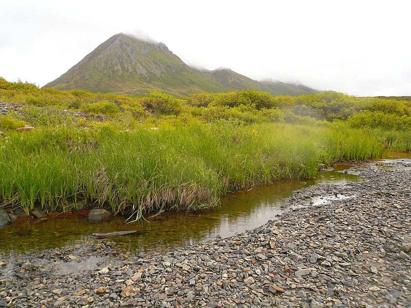 File:Tombstone Mountains Road Hill.JPG