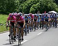 Peloton at Cote de Bad Herrenalb