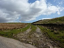 East side of Beadle Hill Track off the road to Sweet Well House - geograph.org.uk - 1816087.jpg