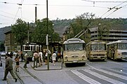 都市間路面電車（ドイツ語版）と並ぶトロリーバス（1970年撮影）