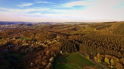 Naturschutzgebiet Mattheiser Wald