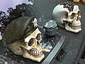 A non-modified photo of the two skulls,but not the one used for the photomontage