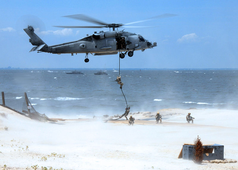 File:United States Navy SEALs 628.jpg