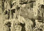 Thumbnail for File:Ur excavations (1900) (14744388636).jpg