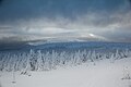 Ural Mountains Winter woods (31809112060).jpg