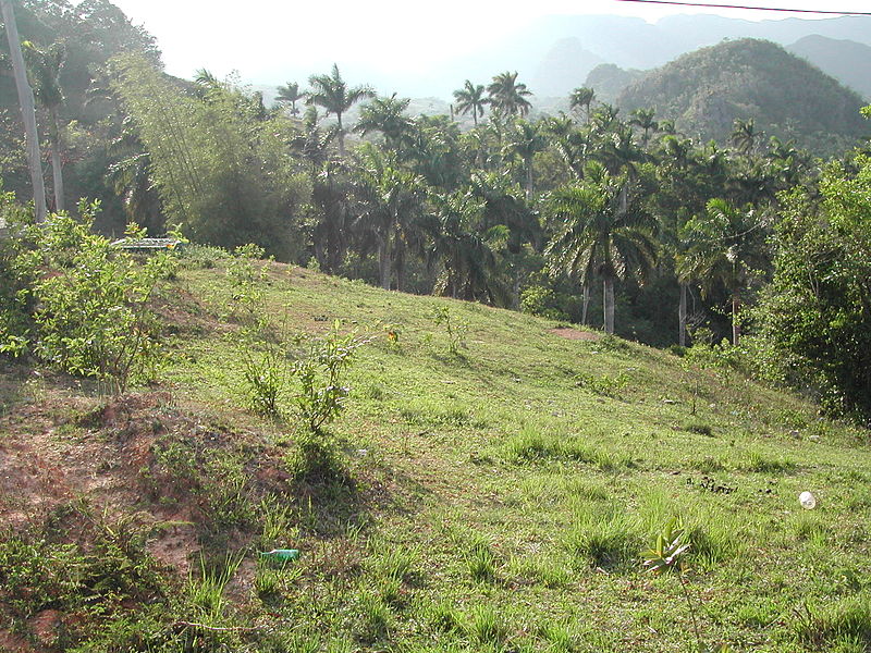 File:Valle de Viñales.JPG