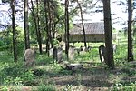Veisiejai Jewish Cemetery 2016 (6).JPG