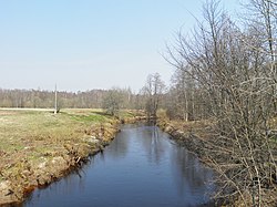 Нижнее течение реки весной 2011 года