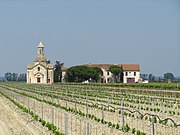 Vignes et chapelle près de Montcalm