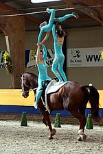 Thumbnail for Equestrian vaulting