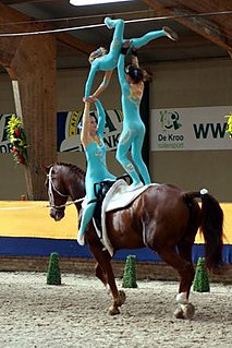 Equestrian vaulting Gymnastics and dance on horseback