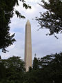 Washington Monument through trees.jpg