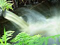 Waterpeilbeheer in natuurterrein De Famberhorst.