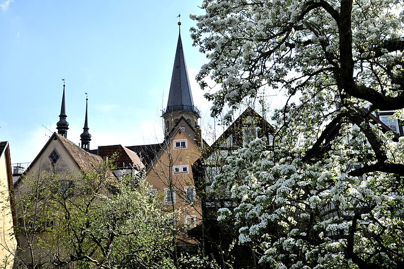 File:Weikersheim, ein Blütentraum.jpg