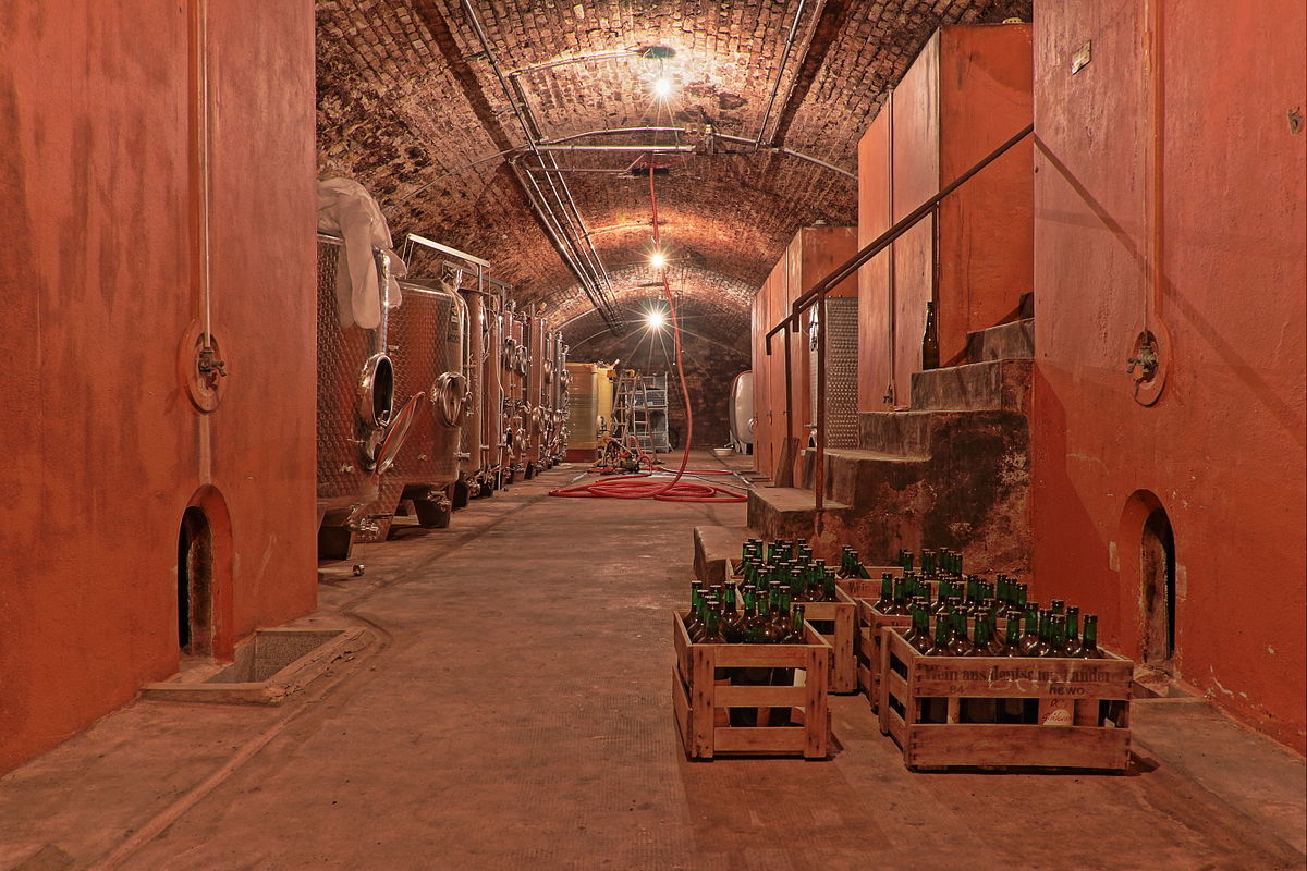 10. Vineyard “Weingut OC” in Nierstein, Rhineland-Palatinate. Wine cellar Photograph: Gregor Gärtner - kadrage.tv Licensing: CC-BY-SA-3.0-de