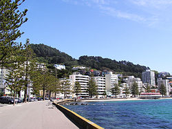 Wellington Oriental Bay