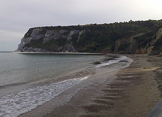 <span class="mw-page-title-main">Whitecliff Bay</span> Human settlement in England