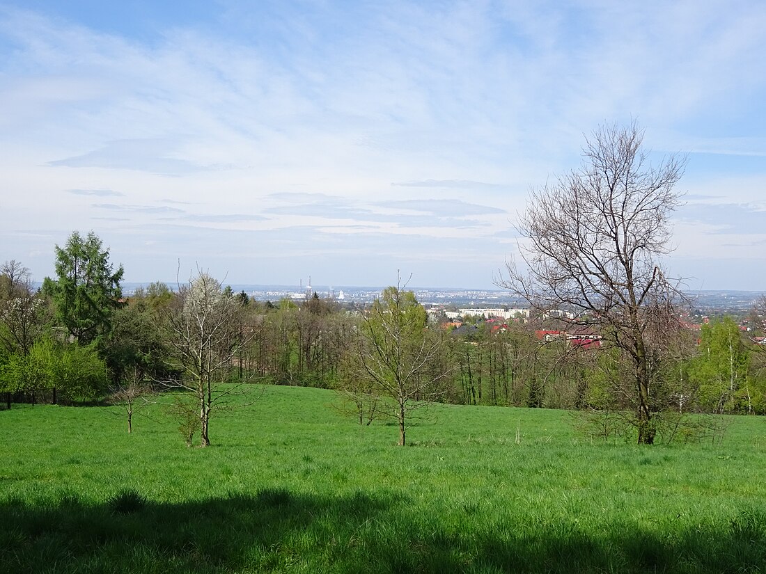 Pogórze Wielickie