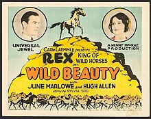 Wild Beauty (1927 film).jpg