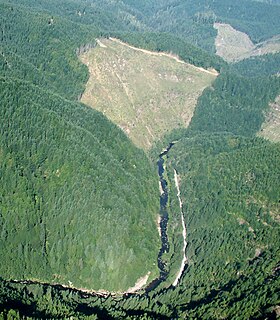 Williams River (Oregon) river in the United States of America