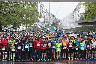 <span class="mw-page-title-main">Wings for Life World Run</span> Running competition