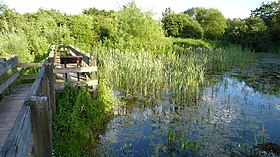 Jembatan di atas kolam di Winnersh Meadows