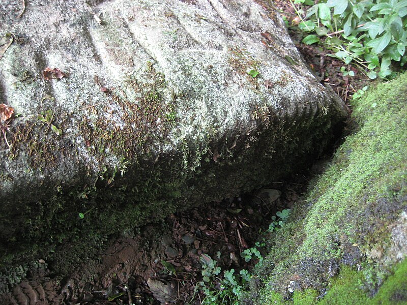 File:Worthyvale ogham stone detail.JPG