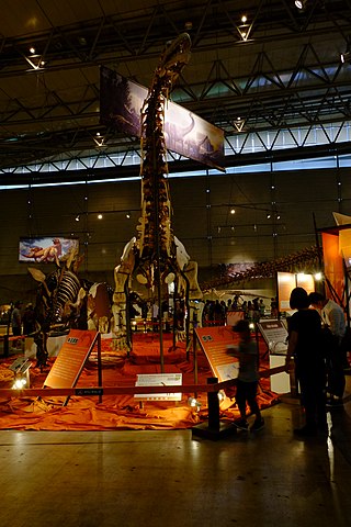 <i>Xianshanosaurus</i> Extinct genus of dinosaurs
