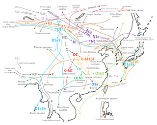 Y-DNA haplogroups in populations of East and Southeast Asia