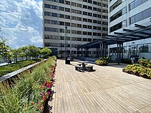 Rooftop Patio Yonge and Eglinton Centre Rooftop Patio 2023.jpg