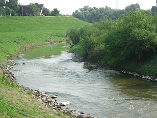 <span class="mw-page-title-main">Zagyva</span> River in Hungary