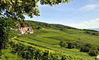 Ötlingen - Blick auf den Tüllinger Berg.jpg