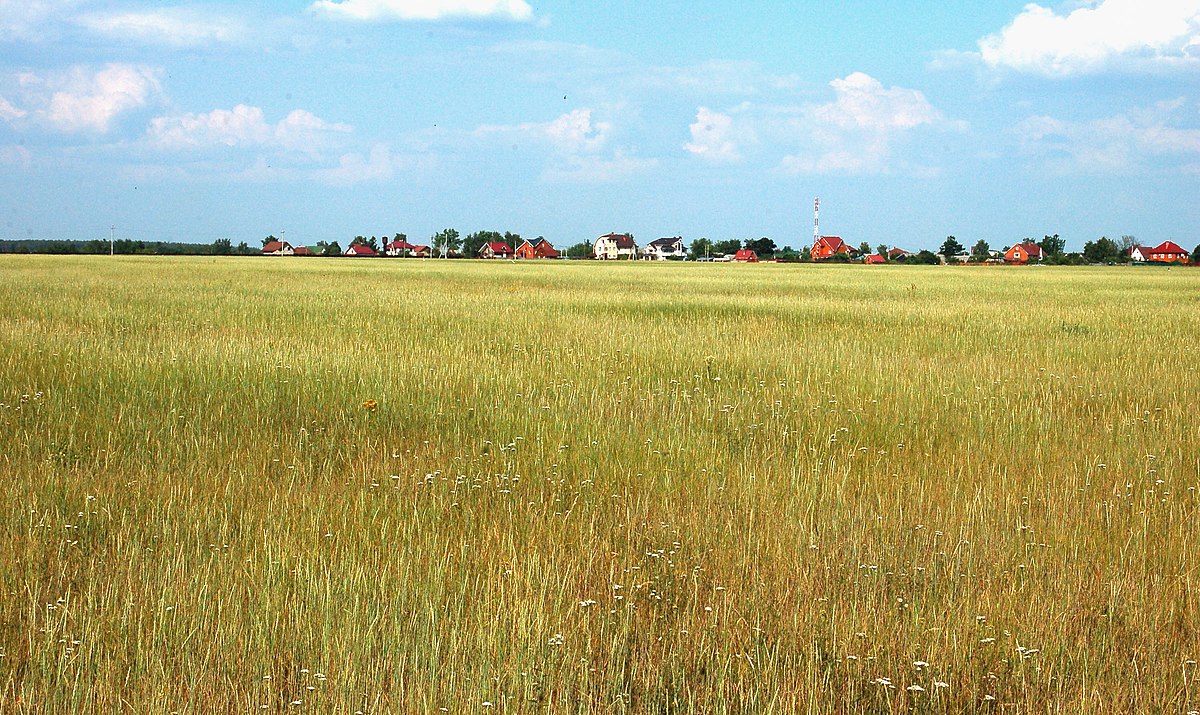 Село бисерово богородский городской округ