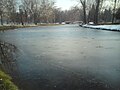 Смрзнато езерце во Градски Парк/Frozen lake at the City Park (30.01.2011)