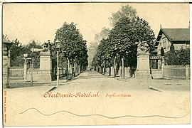 00880-Radebeul-1898-(Oberlößnitz) Sophienstraße-Brück & Sohn Kunstverlag.jpg