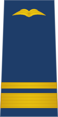 File:10-Namibia Air Force-SQNLDR.svg