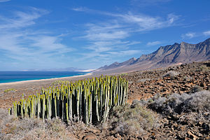 Canary Islands