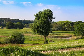 Naturraum Barnim, bei Buckow