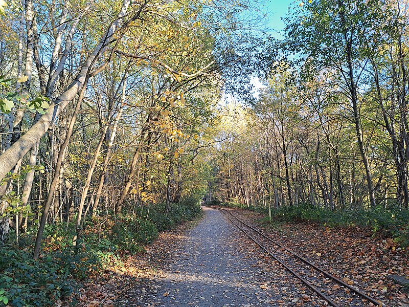 File:20221113 152302 Feldbahngleise Piesberg.jpg