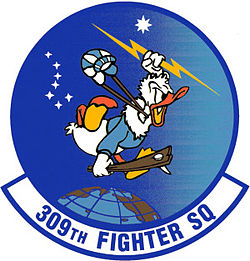 309-a Fighter Squadron.jpg