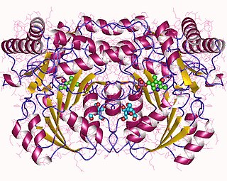 <span class="mw-page-title-main">Serine—pyruvate transaminase</span>