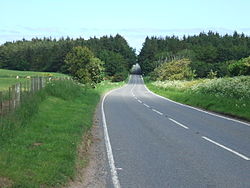 A981 cuts through Brunt Wood - geograph.org.uk - 467628.jpg