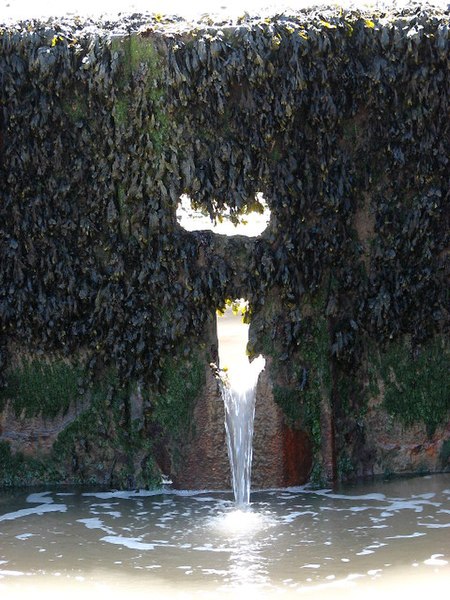 File:A hole in the revetment - detail - geograph.org.uk - 792750.jpg